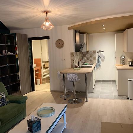 Le Moulin Des 2 Roues Apartment Мьон-сюр-Лоар Екстериор снимка