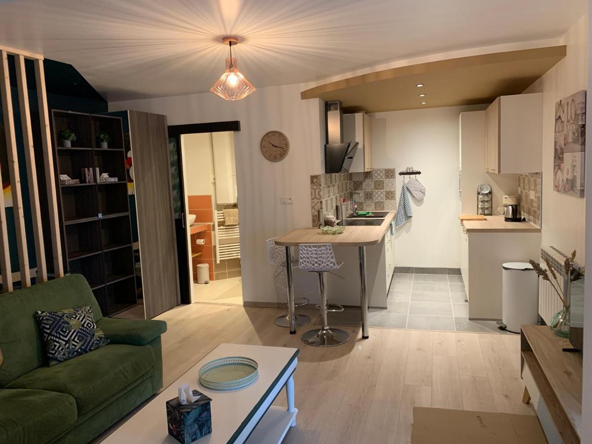 Le Moulin Des 2 Roues Apartment Мьон-сюр-Лоар Екстериор снимка