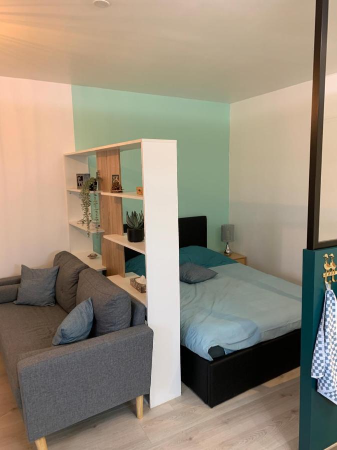 Le Moulin Des 2 Roues Apartment Мьон-сюр-Лоар Екстериор снимка